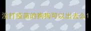 没打疫苗的狗狗可以出去么