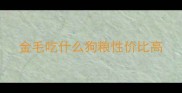 金毛吃什么狗粮性价比高