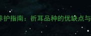 边牧折耳犬的养护指南折耳品种的优缺点与科学护理方法