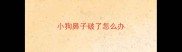小狗鼻子破了怎么办