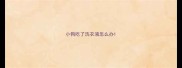 小狗吃了洗衣液怎么办