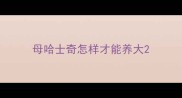 母哈士奇怎样才能养大