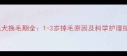 金毛犬换毛期全1-3岁掉毛原因及科学护理指南