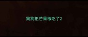 狗狗把芒果核吃了