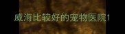 威海比较好的宠物医院