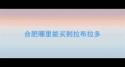 合肥哪里能买到拉布拉多