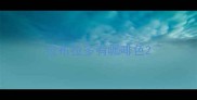 拉布拉多有咖啡色