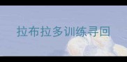 拉布拉多训练寻回