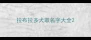 拉布拉多犬取名字大全