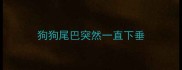 狗狗尾巴突然一直下垂