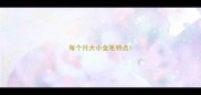 每个月大小金毛特点
