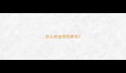怎么给金吉拉梳毛