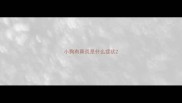 小狗有鼻炎是什么症状