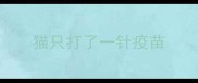 猫只打了一针疫苗