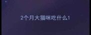 2个月大猫咪吃什么
