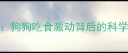 哈士奇饮食行为狗狗吃食激动背后的科学原因及训练指南