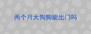 两个月大狗狗能出门吗