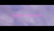 狗狗几个月发育头部