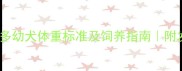3月龄拉布拉多幼犬体重标准及饲养指南附发育阶段图解
