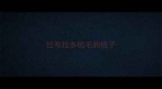 拉布拉多梳毛的梳子