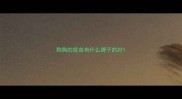 狗狗的疫苗有什么牌子的好