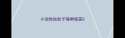 小边牧拉肚子接种疫苗