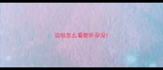 边牧怎么看都怀孕没