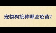 宠物狗接种哪些疫苗