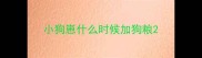 小狗崽什么时候加狗粮