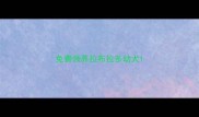 免费领养拉布拉多幼犬