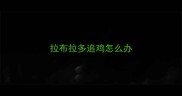 拉布拉多追鸡怎么办