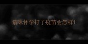 猫咪怀孕打了疫苗会怎样