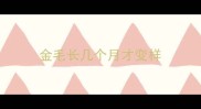 金毛长几个月才变样