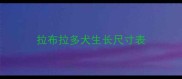 拉布拉多犬生长尺寸表