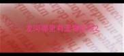 龙岗哪里有宠物医院