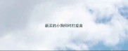 新买的小狗何时打疫苗