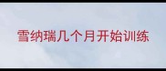 雪纳瑞几个月开始训练