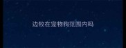 边牧在宠物狗范围内吗