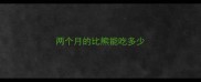 两个月的比熊能吃多少