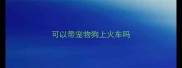 可以带宠物狗上火车吗