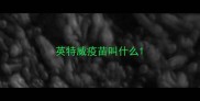 英特威疫苗叫什么