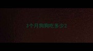 3个月狗狗吃多少