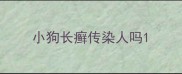 小狗长癣传染人吗