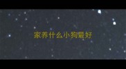 家养什么小狗最好