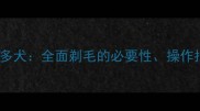 科学护理拉布拉多犬全面剃毛的必要性操作指南与注意事项