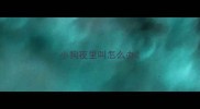 小狗夜里叫怎么办
