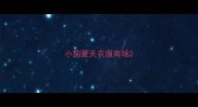 小狗夏天衣服商场