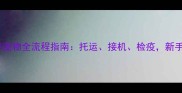 从机场接宠物全流程指南托运接机检疫新手必看