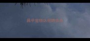 昌平宠物店招聘信息