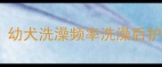 哈士奇洗澡全攻略幼犬洗澡频率洗澡后护理换毛期注意事项